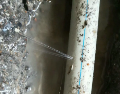 东兰测漏水哪家好