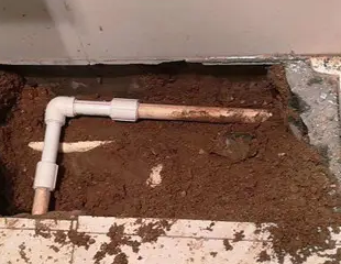 东兰测漏水哪家好