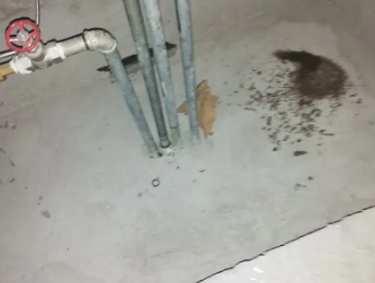 东兰卫生间测漏水价格明细