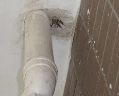 东兰漏水检测哪家好